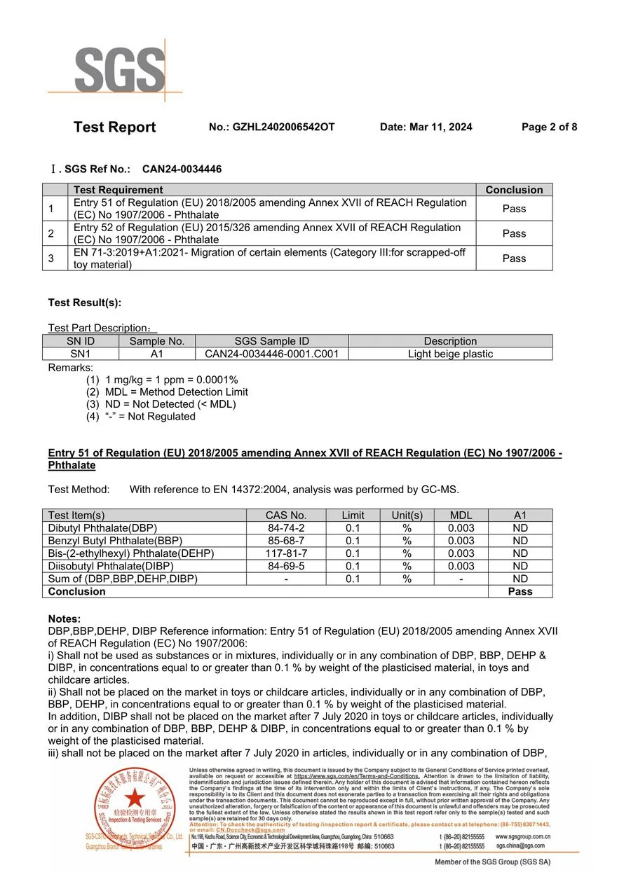 SGS report page 2