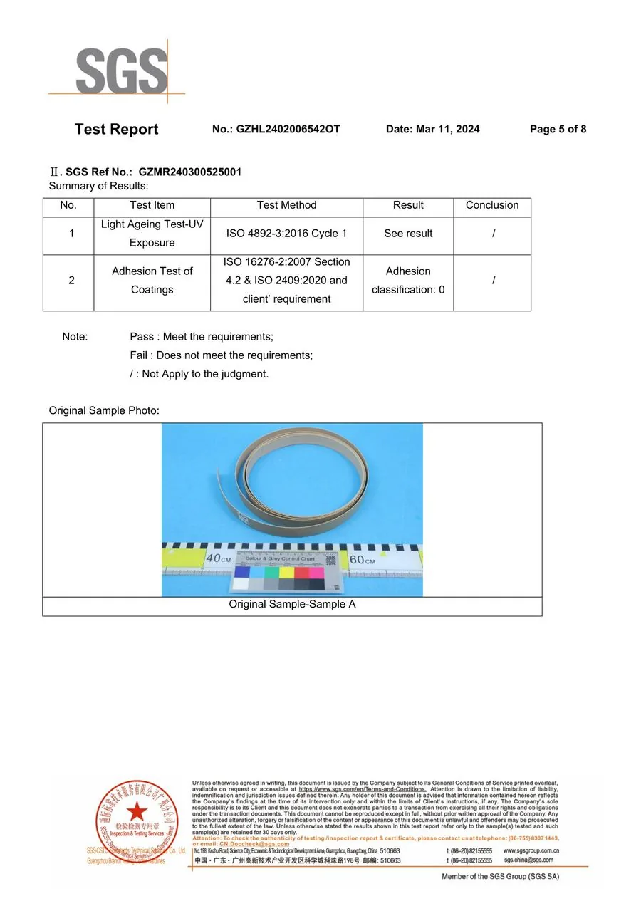 SGS report page 5