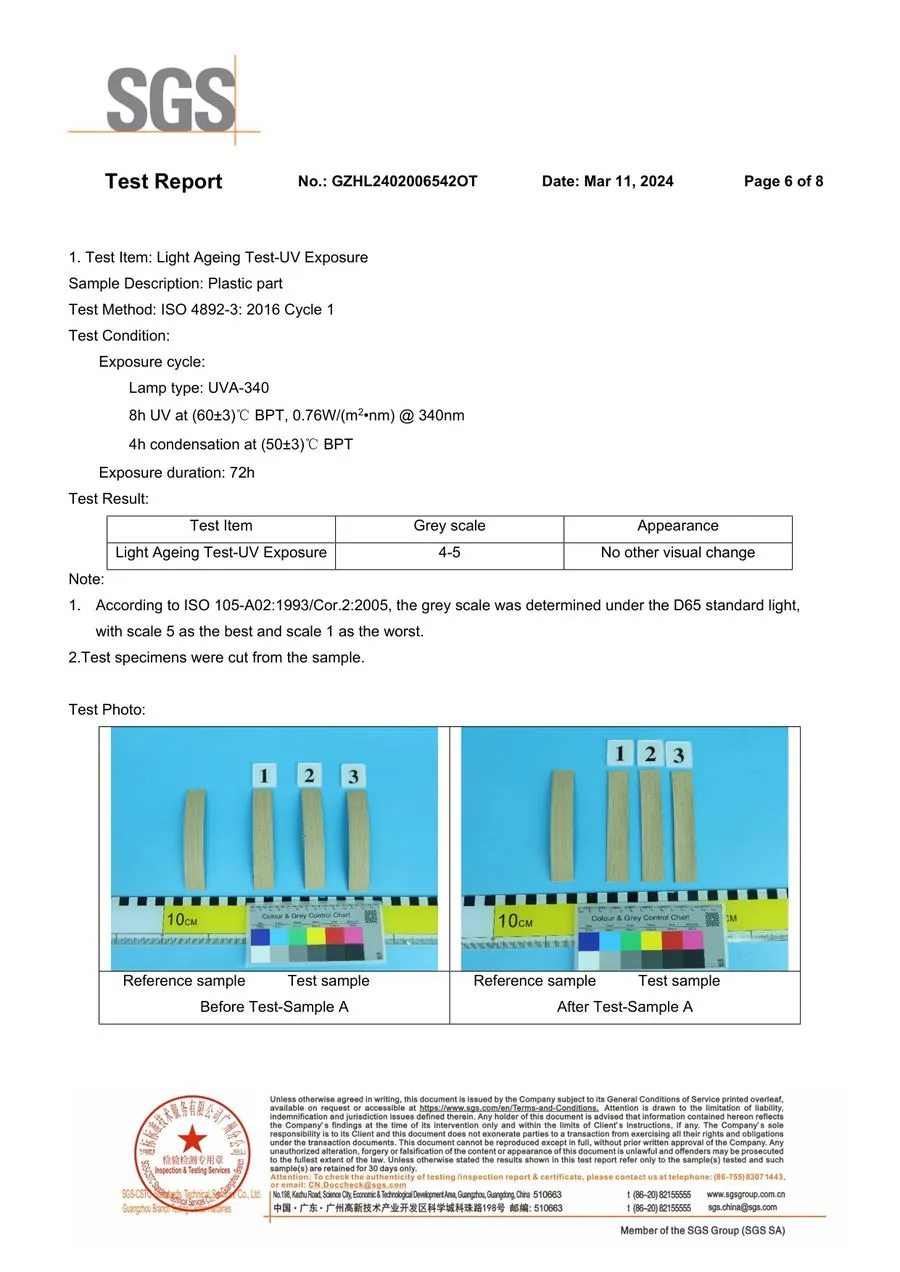 SGS report page 6